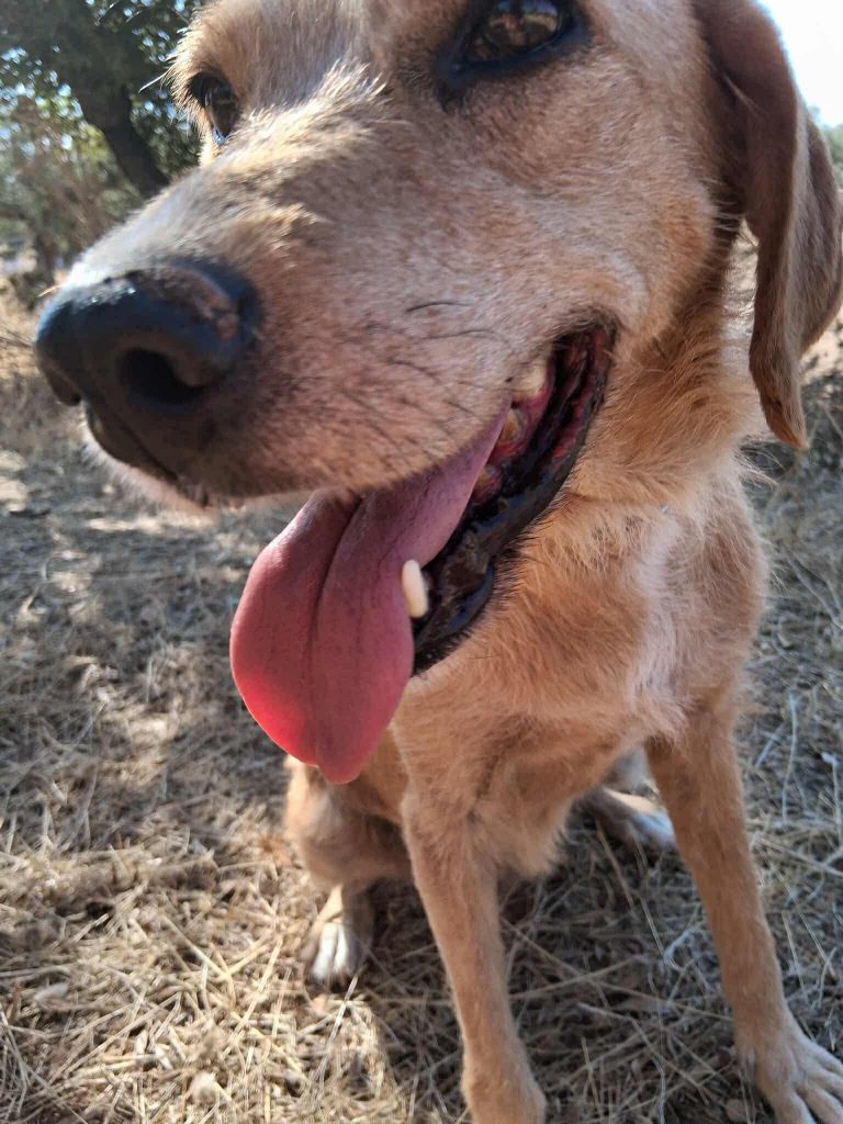 912d5422-cc37-48f1-92d4-73723fc85afb