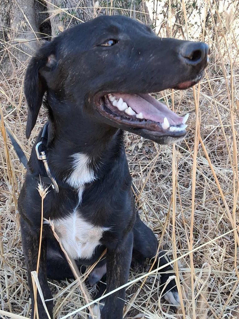 916604f4-eec4-40db-b9f6-03118d622f73