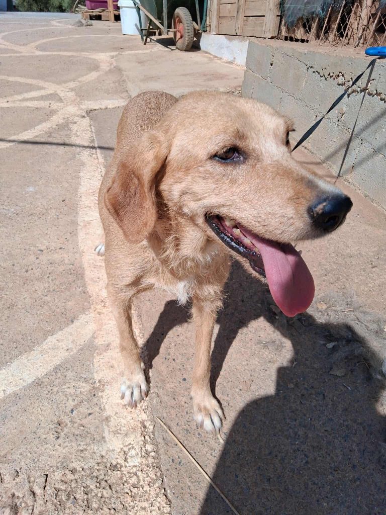 9b1ea548-3b01-4d7b-bc98-f7b7edfc9a5c