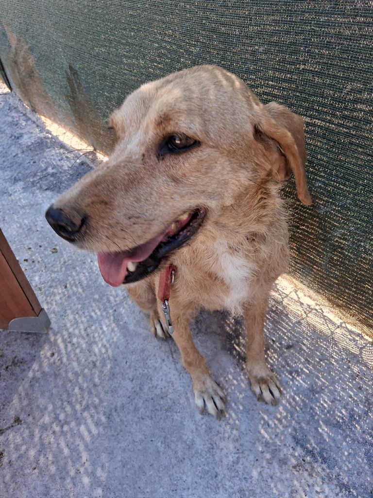 ae686635-449c-47e5-a7ae-5a60b6d829b6