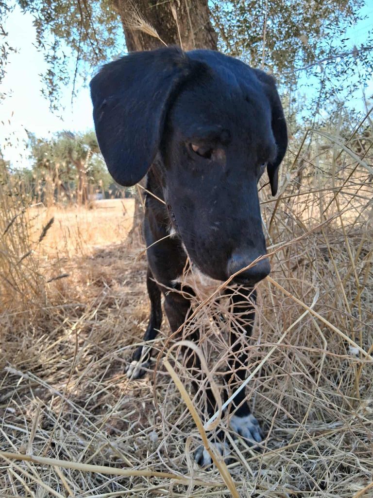 c9425993-720d-44dc-b5a4-d776147db299