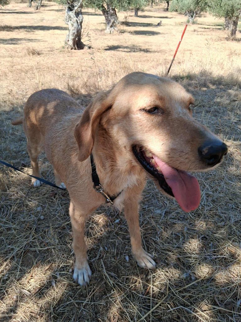 d3dbb096-ca74-4ef7-b7b9-222e256ee9ec