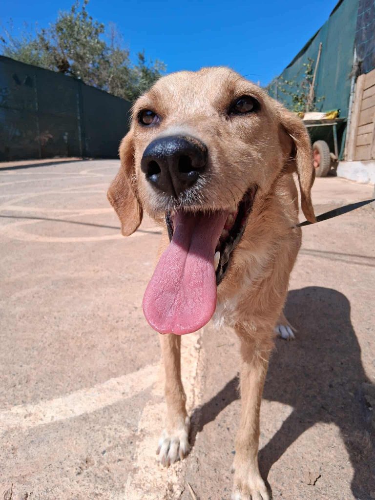 e8d369f3-6ca1-4461-89f3-11232fc976f5