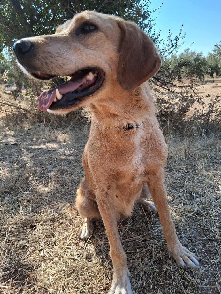 ff935f12-653b-4921-9341-b070fed613b3