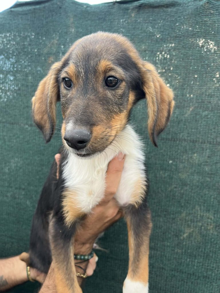 40296e94-b7c0-428c-a0f3-e18c1c2a4fd2