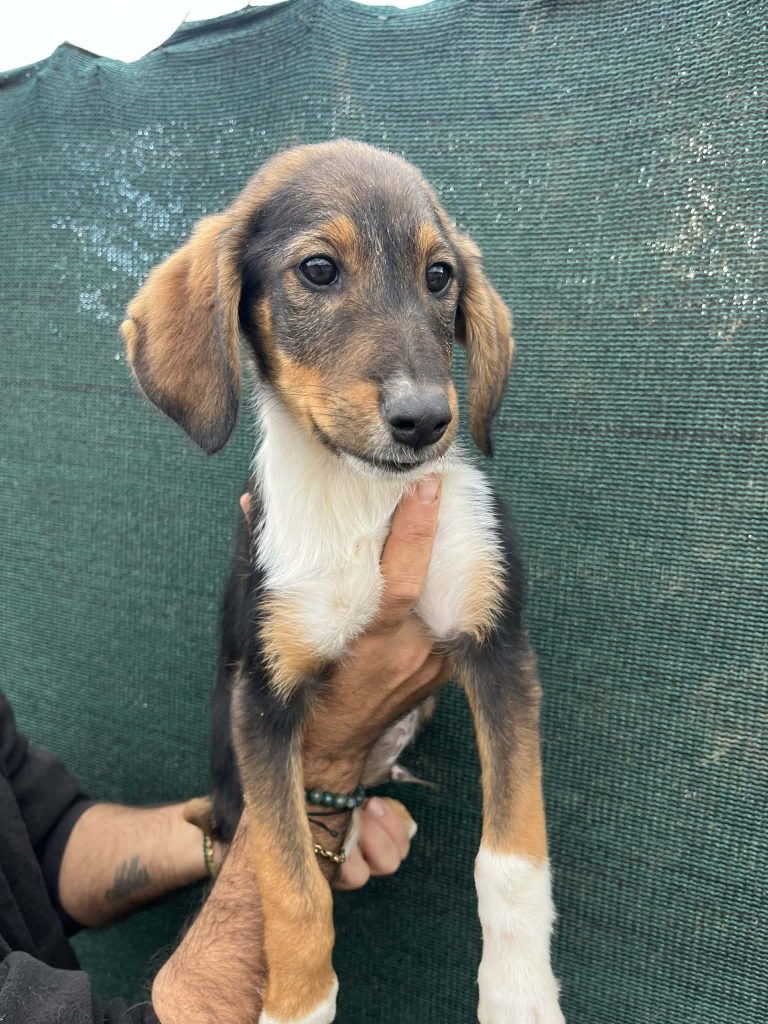 444a34c3-507b-4d6d-8913-a6934eb392b2