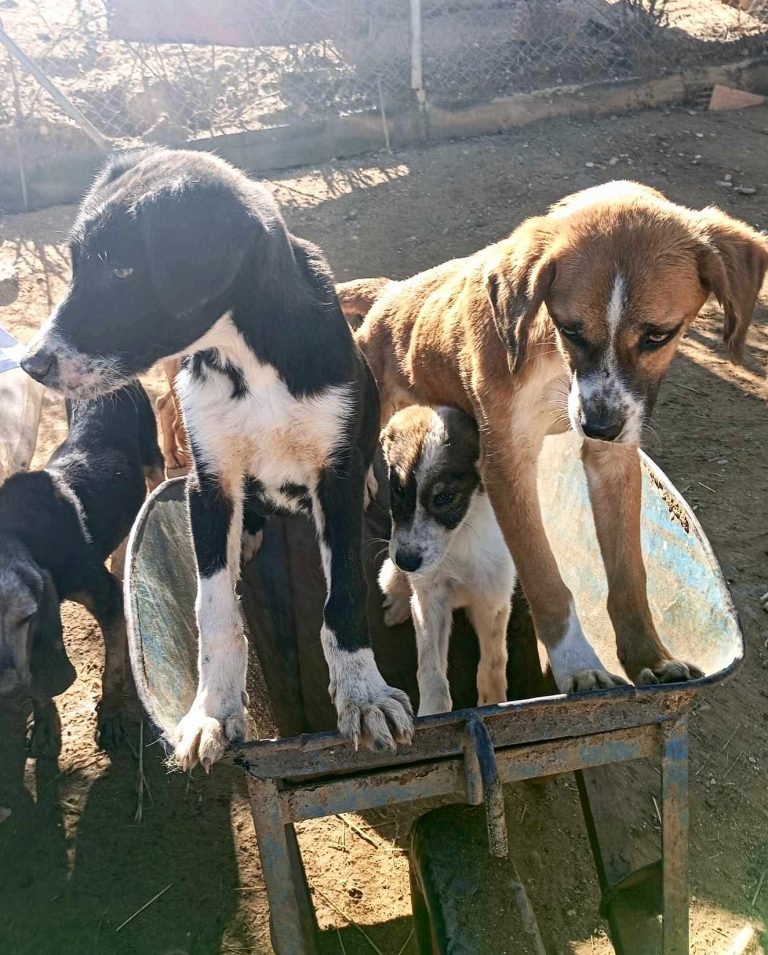 474219116_18065453953879172_5308317551007855367_n