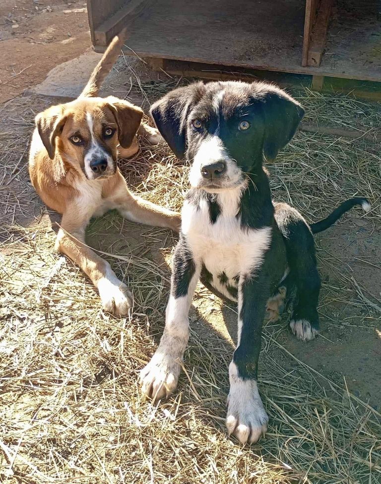 487810227_1086968940139058_4631144378718188223_n