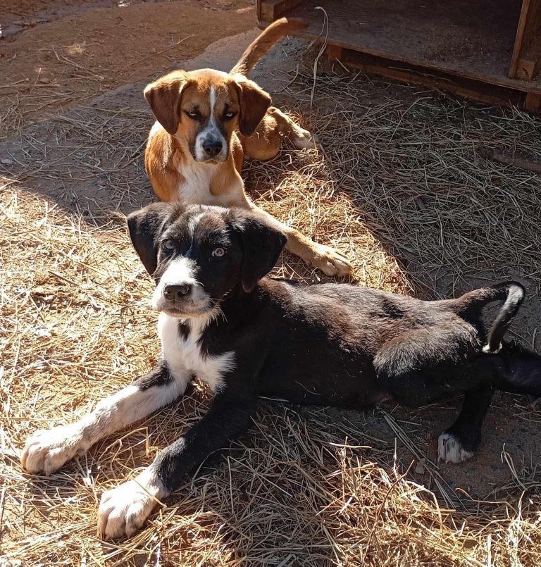 488176798_1086969180139034_3848101534723321884_n