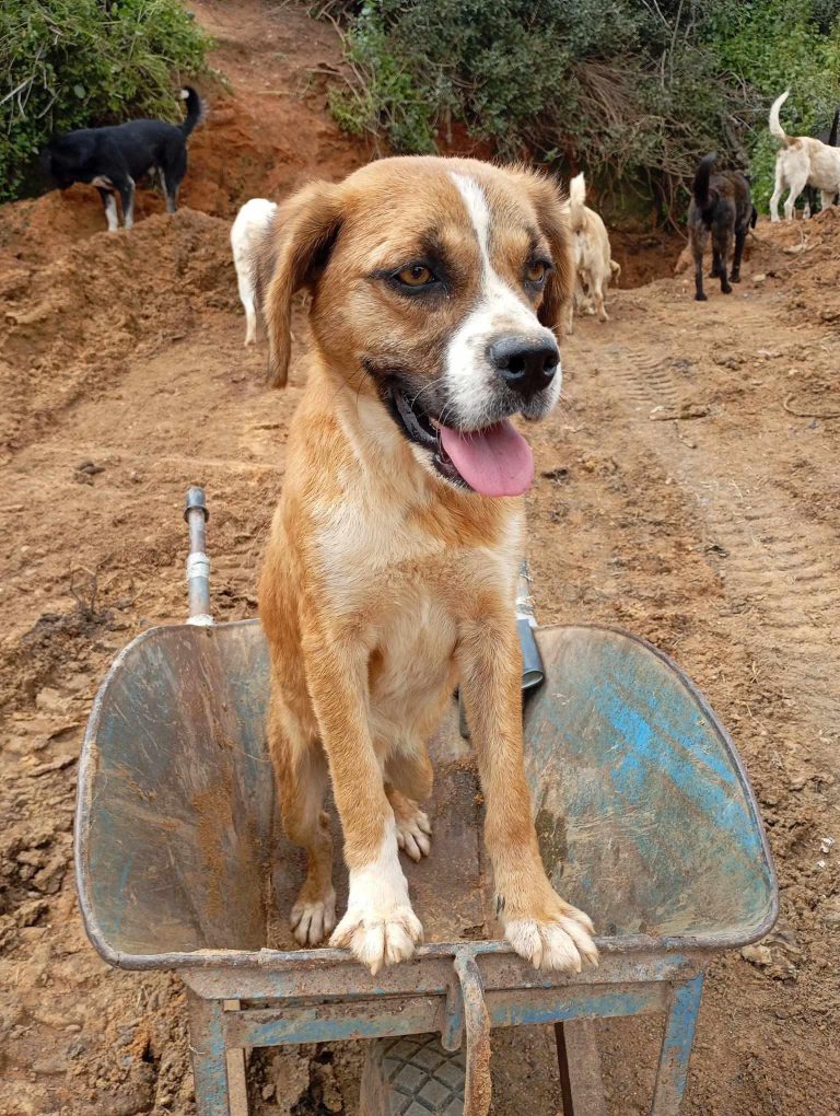 488989604_1092345019601450_985463332731104378_n