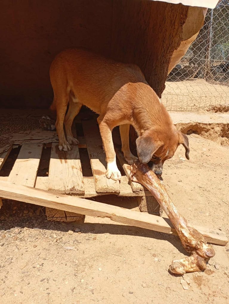 528587762_1093588138964809_7839940659042283553_n