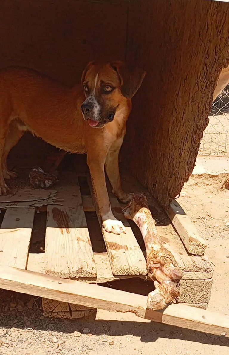 530481854_1256134642480871_9145515609983396724_n