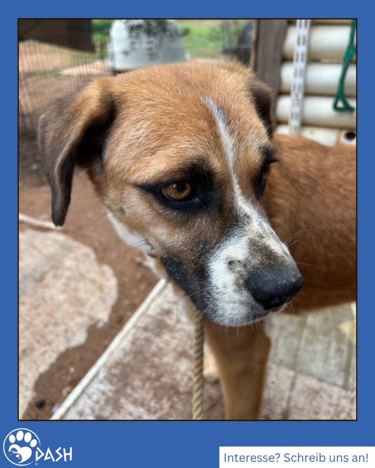 566227368_1260593876109896_5545816349290238225_n