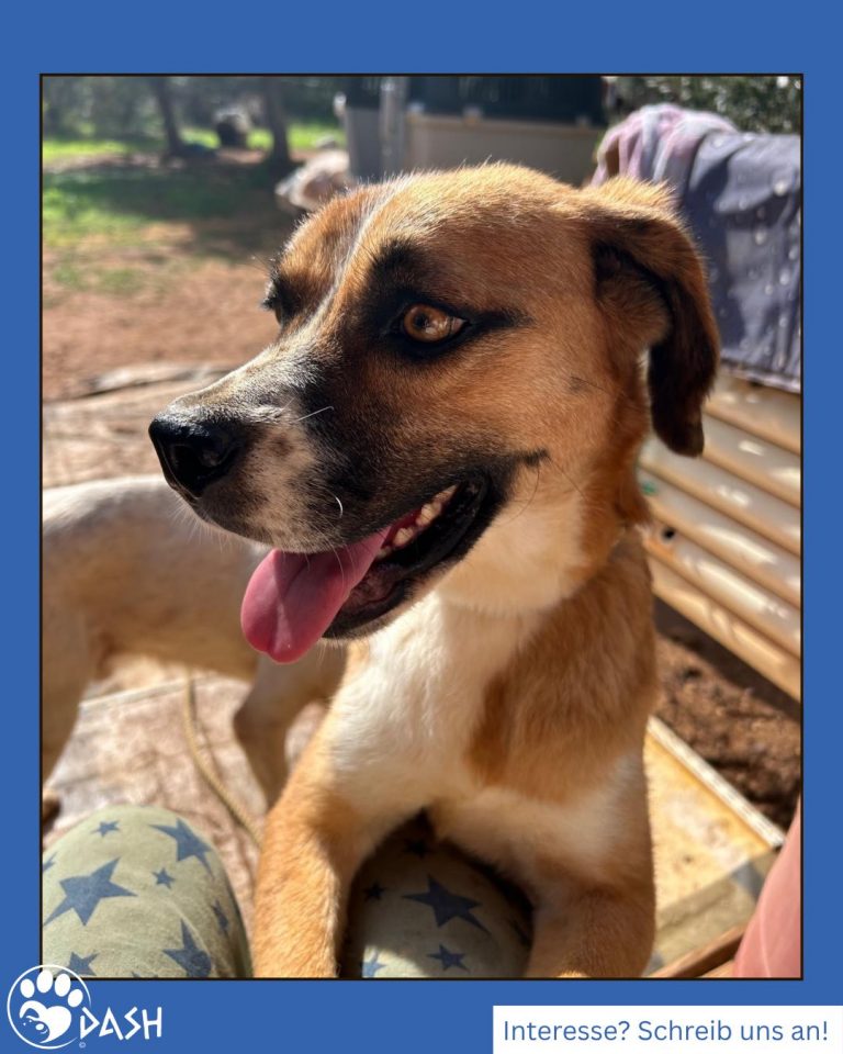 571148439_1260593866109897_7757801382691479121_n