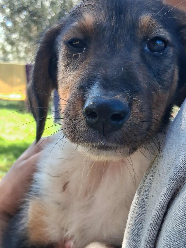 574028803_1890266905173369_5960917943717196016_n