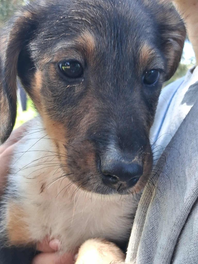 574433927_2861450477388502_579455904837730786_n