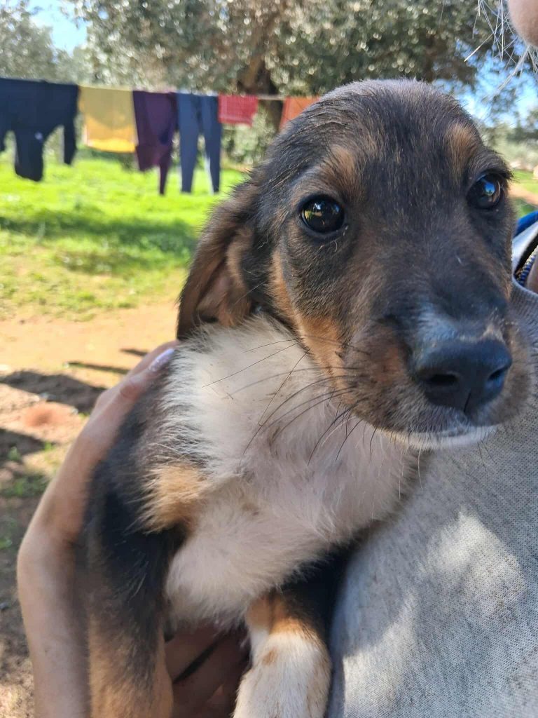 574623465_1399793498387117_8783947014319257092_n