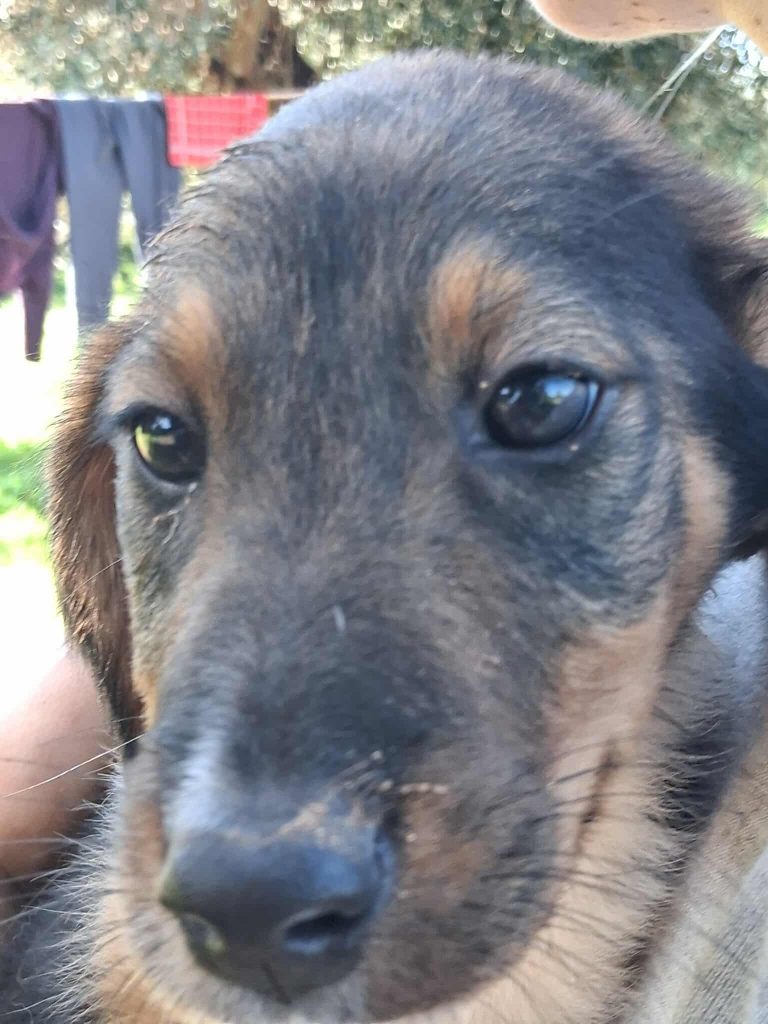 574918406_4339734883017846_4793943989171141310_n