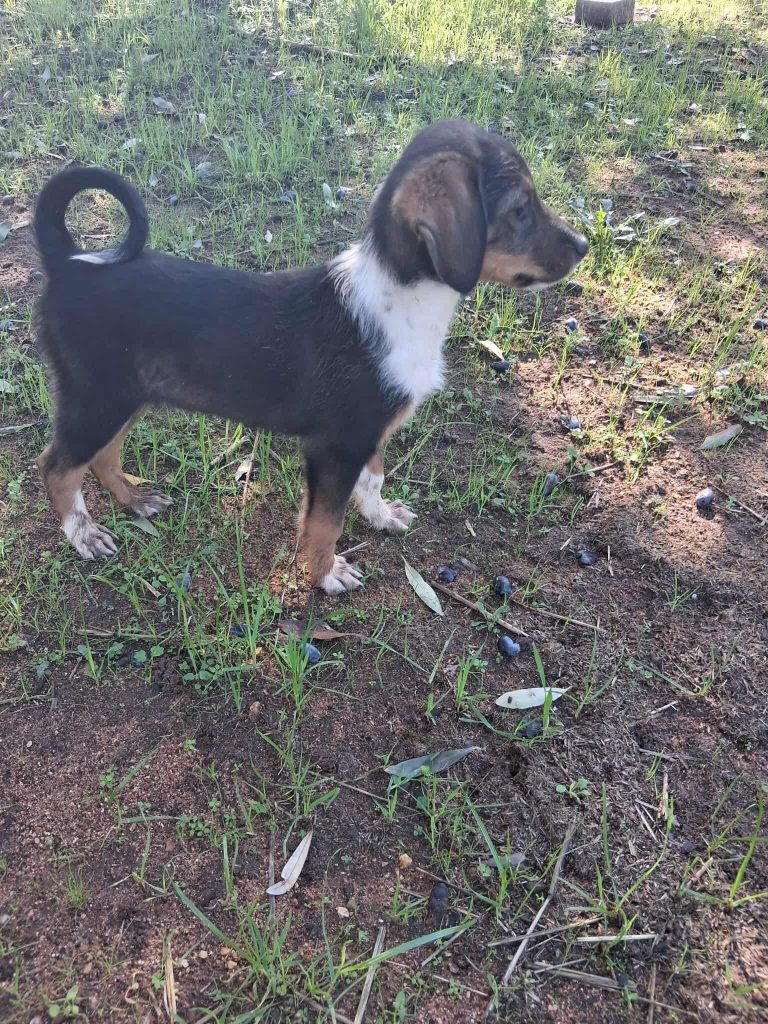 575726822_1331488015325942_42388137746704929_n