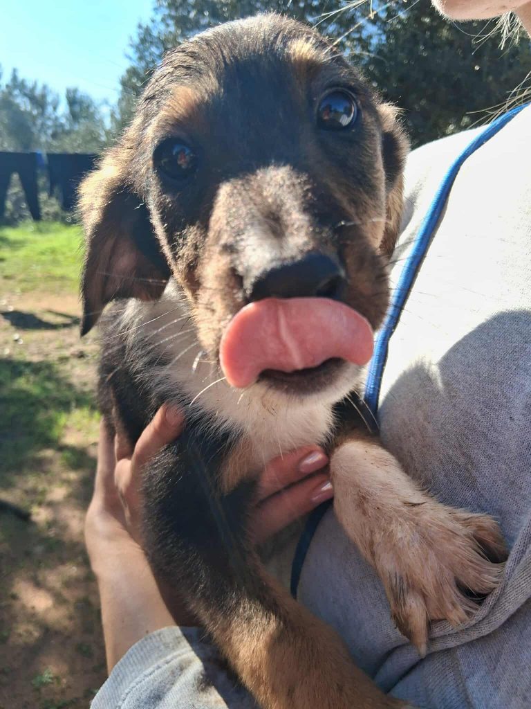 575729311_594571520385641_3624378805165268469_n