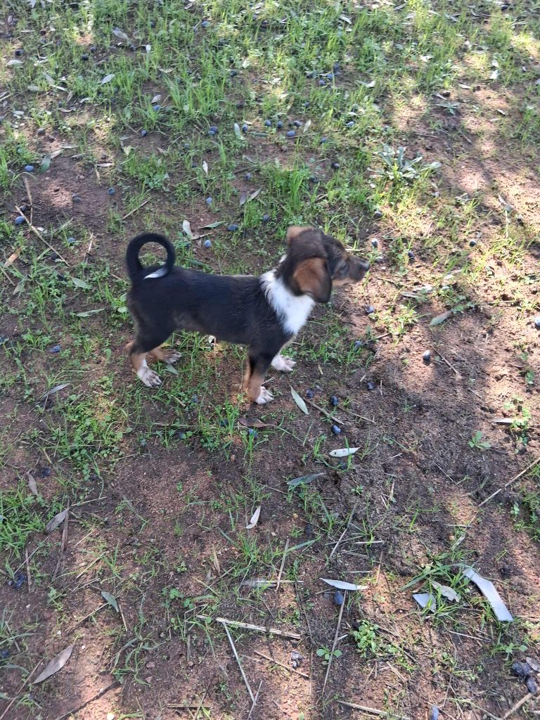 575792546_783866691316942_4404715531036473529_n