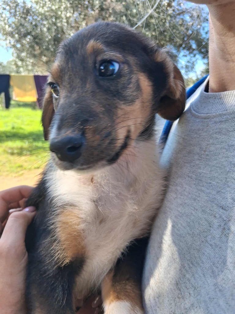 576114675_32153996924214668_3950615189757844787_n