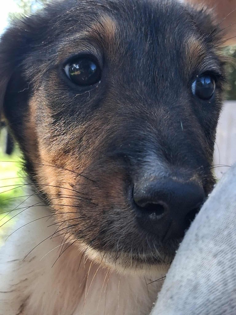 576297045_1163127261948548_6533700348349743739_n