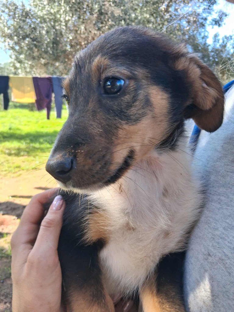 576367703_1578185493343666_1594168599825575919_n