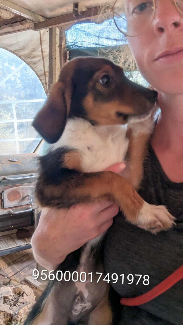 582207845_2191325118012631_850881145849230300_n