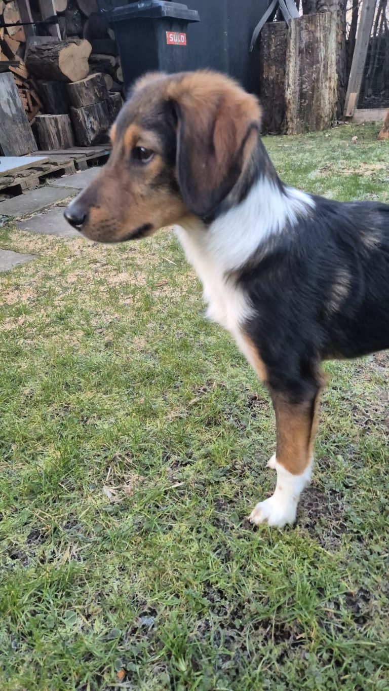 618056561_1331020852400531_4142324815159024773_n