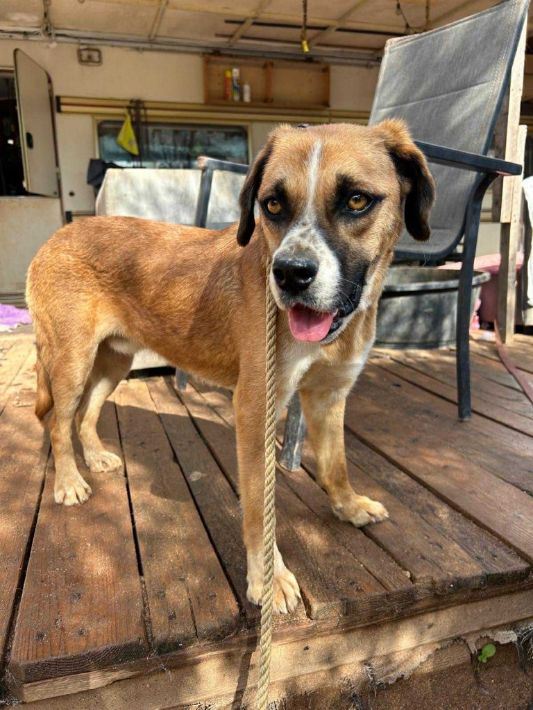 7bbac27c-fcf6-406c-bcdb-d3e92f3b747a