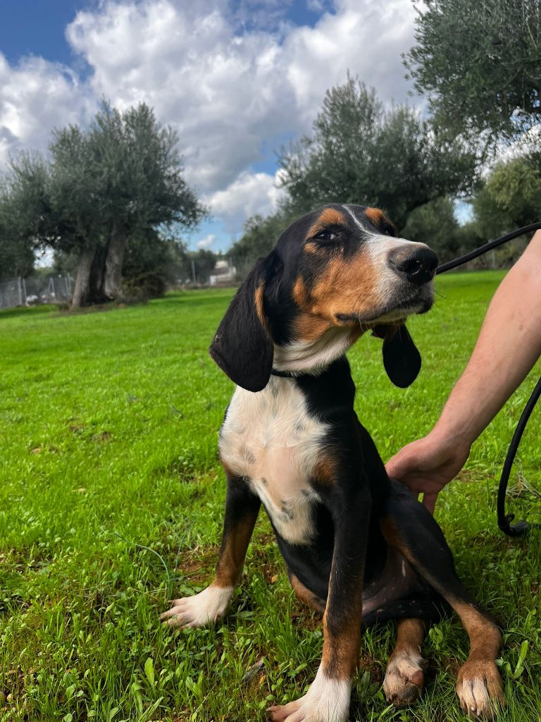 05c3723a-6771-4b73-90bd-41d553acd800