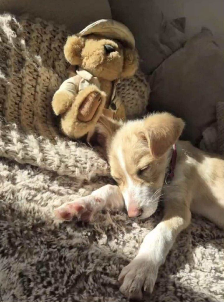 31db080c-c73b-44e9-b260-0ffc009f0354