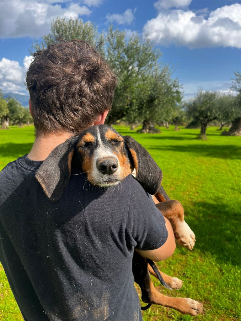 3e239232-2be0-4742-aabb-d84ded3eb6f4