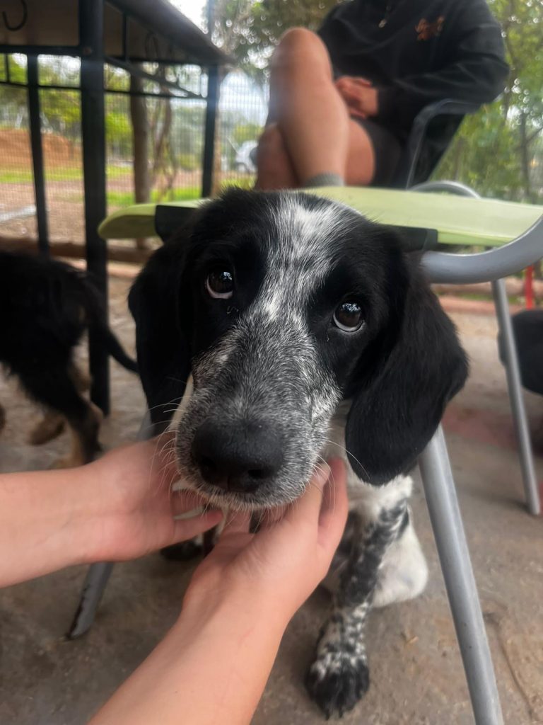 4c787313-0172-41db-a9e1-732ce4a22c80