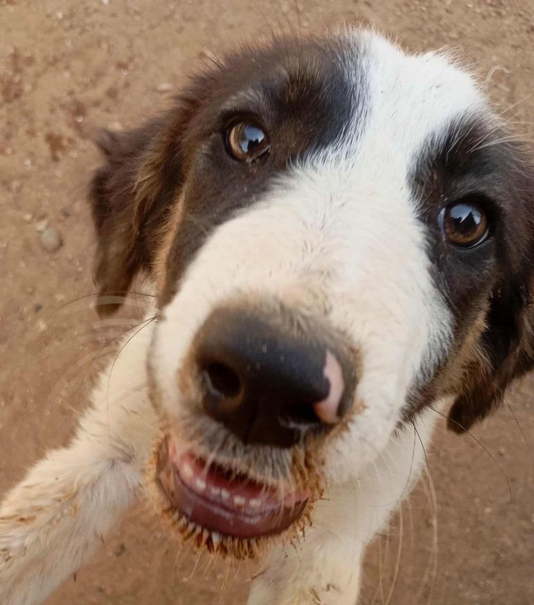 524755136_1392125561863832_812991268939522165_n