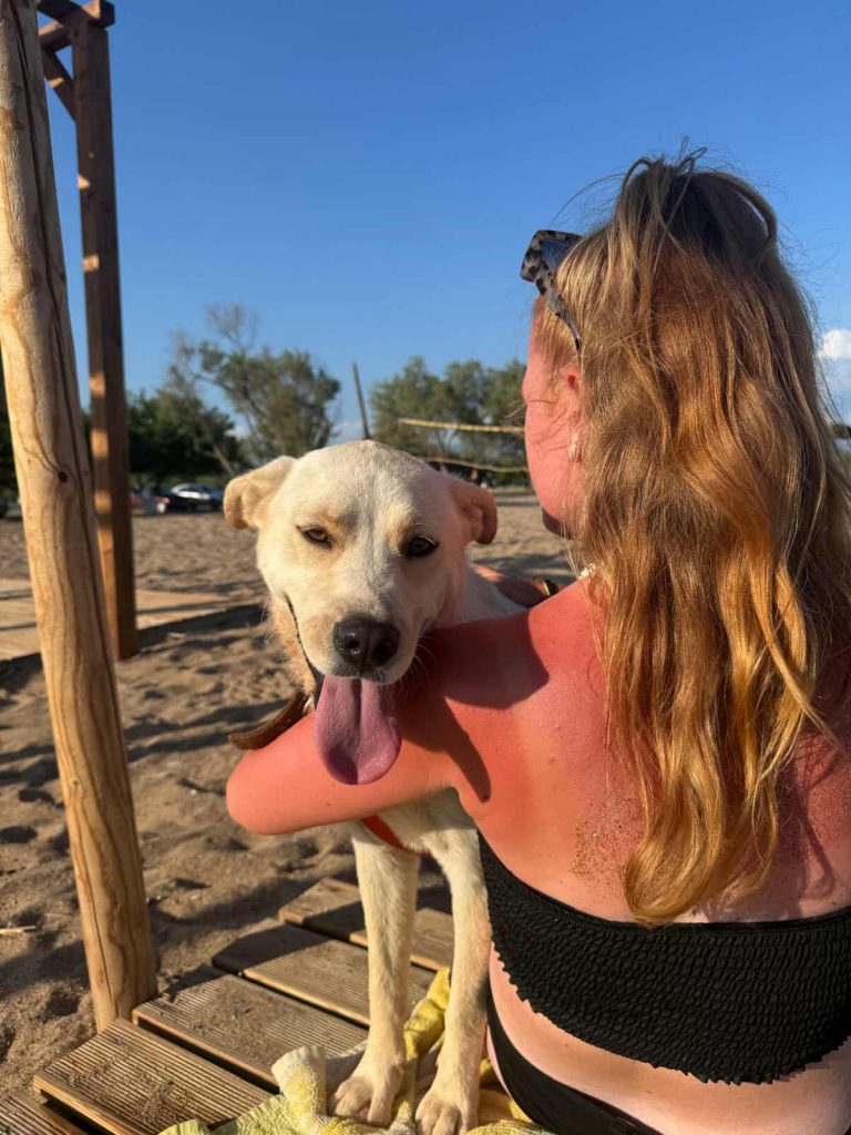 533043699_1810762236184242_1246481823582929045_n