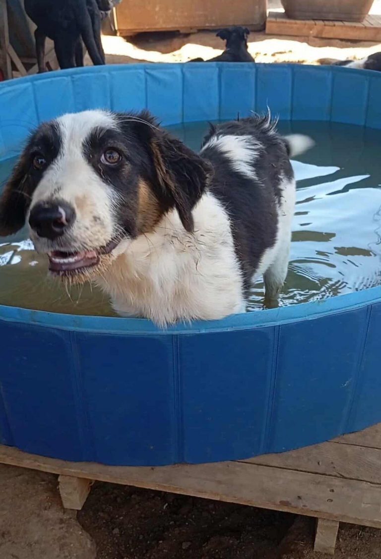 533387902_1103502877877709_3038564910862735452_n