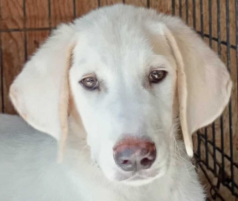 543423903_763298896305211_1043955659594991187_n