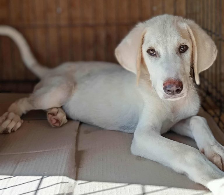 543666858_1481074122920085_86215327260390273_n