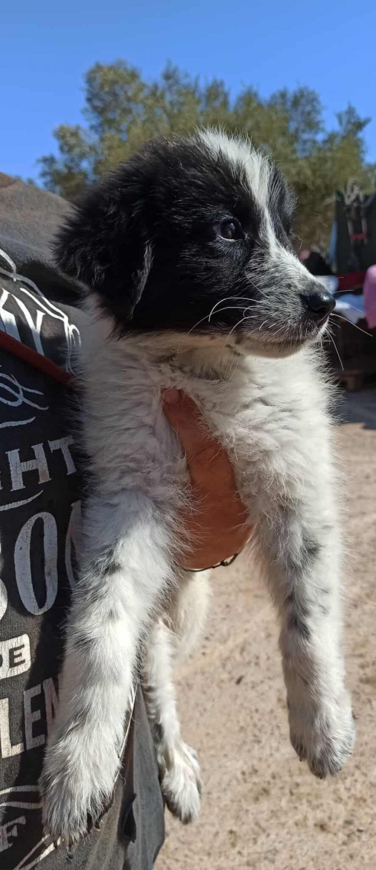 552395513_1368661111351105_2911164134474951380_n