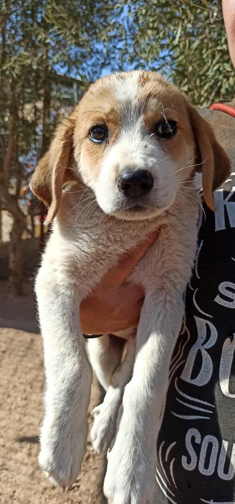 553738686_1149981720629914_6776143144032918510_n