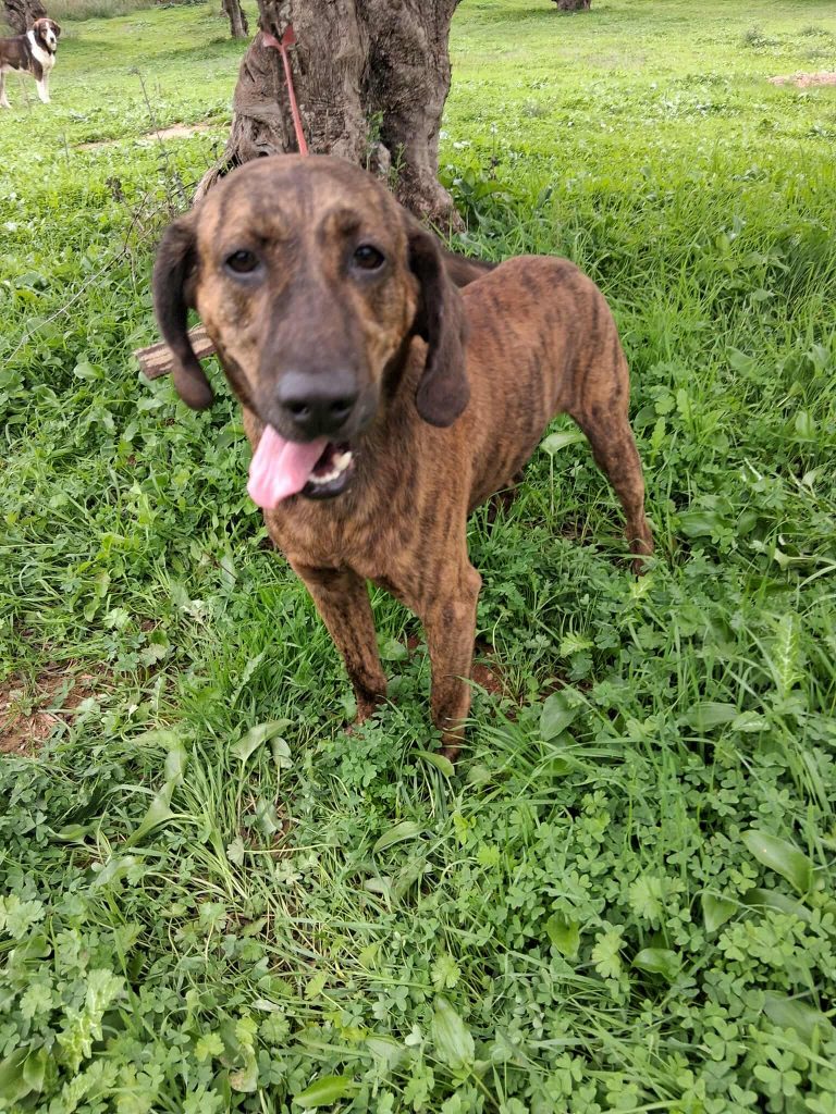 553755493_2317950741993264_4302644474217821420_n