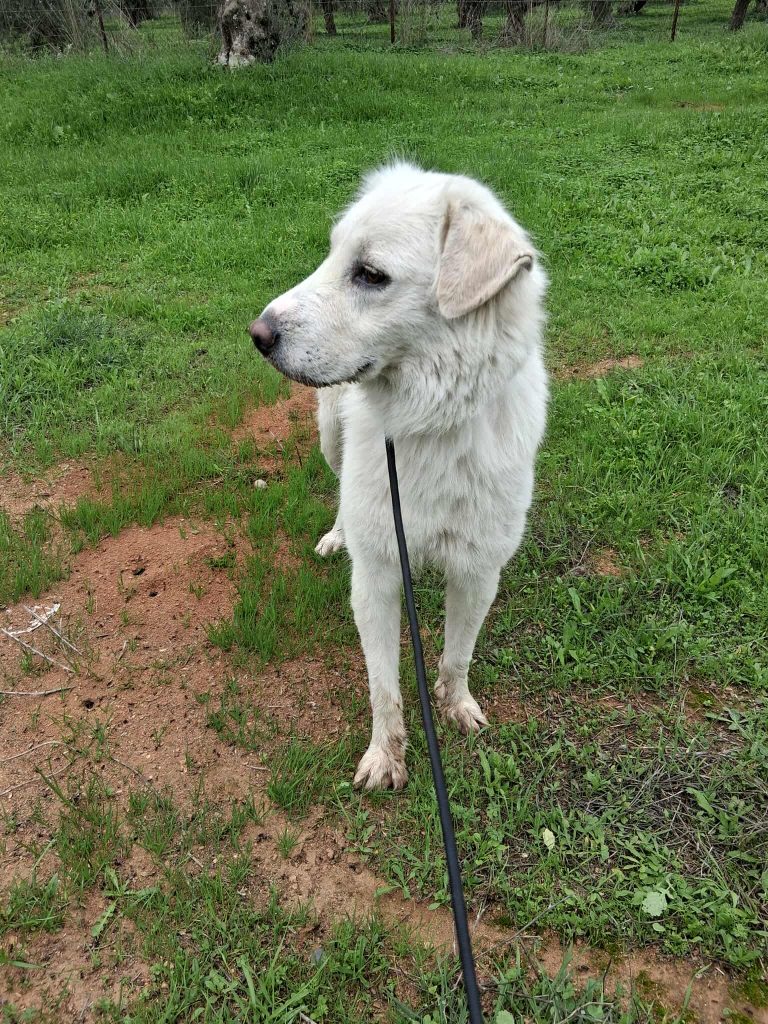 554065435_1045554330956524_3634219828194403916_n