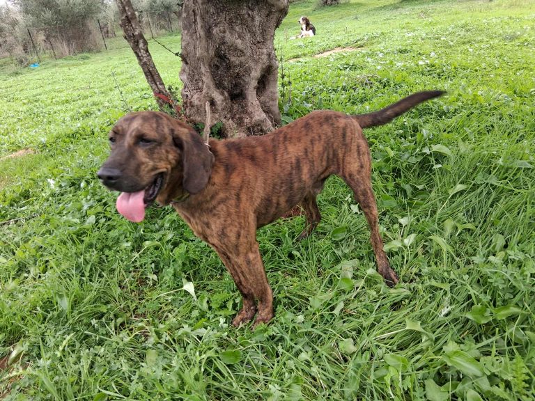 554203024_1328583972079195_2401073941608678012_n