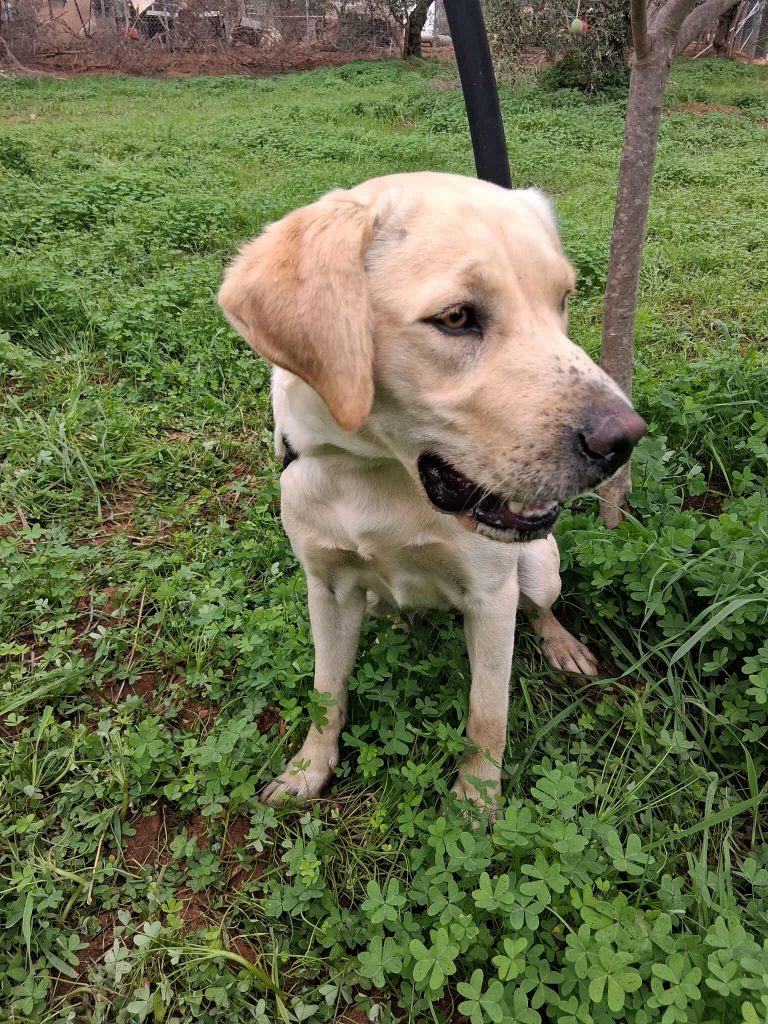 554994125_837228655557238_2514569073134436818_n