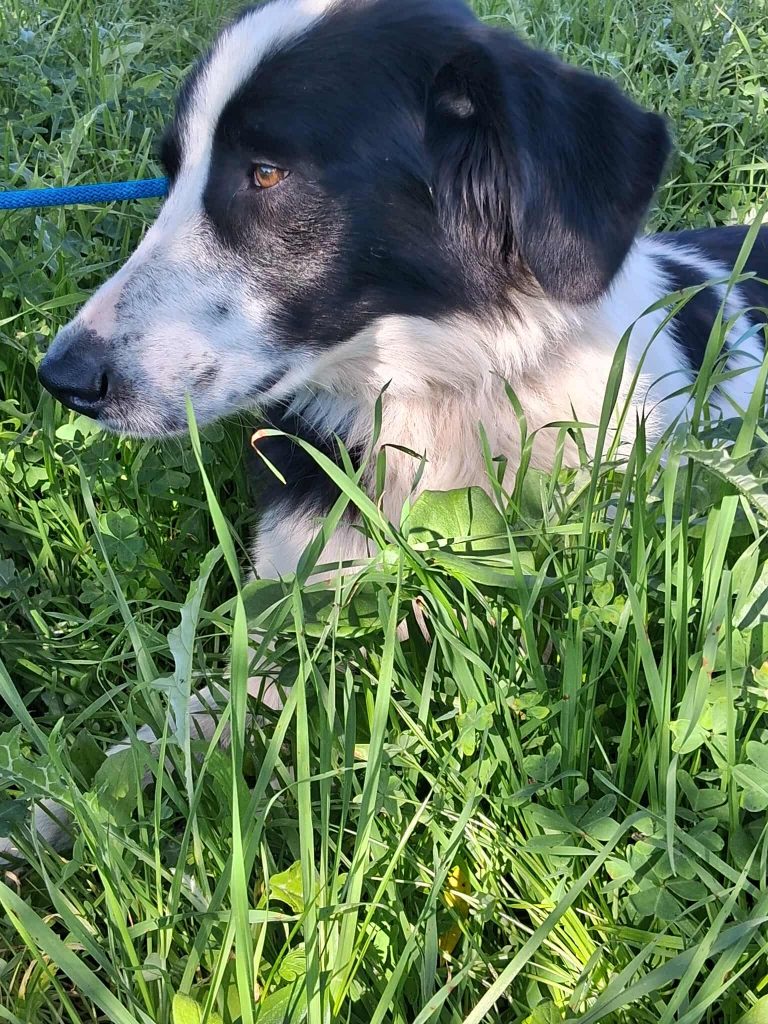 557063835_740909339010699_3378656923363700773_n