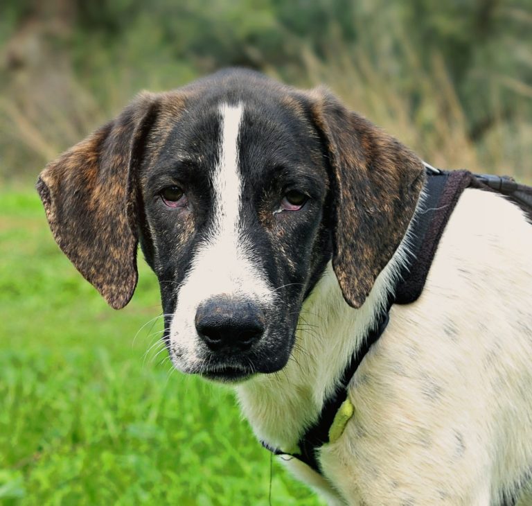 557064449_25571323885806707_957774002341634462_n