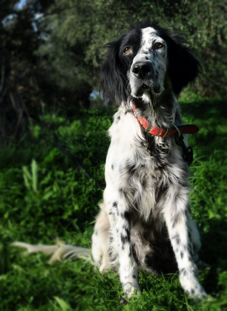 566575316_2037800830302845_2778946943578098544_n