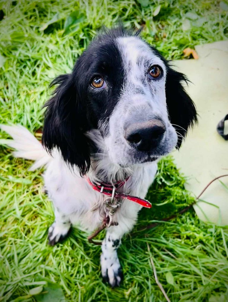 566624580_1622937089143368_7059615676612360704_n